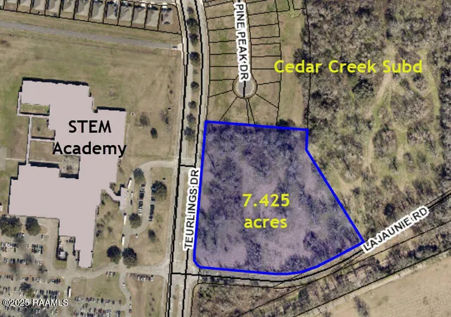 Photo 1 of Land for sale at 900 Teurlings Dr, Lafayette, LA 70501 | MLS# 2500002519 | Listing updated on 2026-02-04