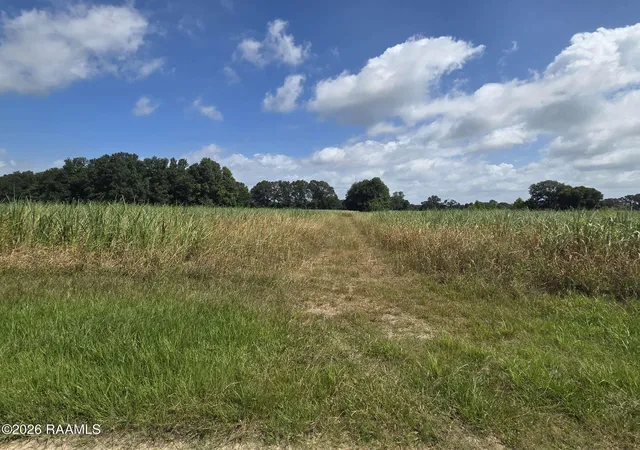Photo 3 of Land for sale at 410 Roy Guidry Rd, Youngsville, LA 70592 | MLS# 2600005668 | Listing updated on 2026-06-26