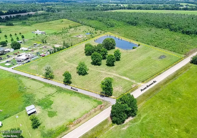 Photo 2 of Land for sale at 119 Pitre Ln, Ville Platte, LA 70586 | MLS# 2600004992 | Listing updated on 2026-06-05