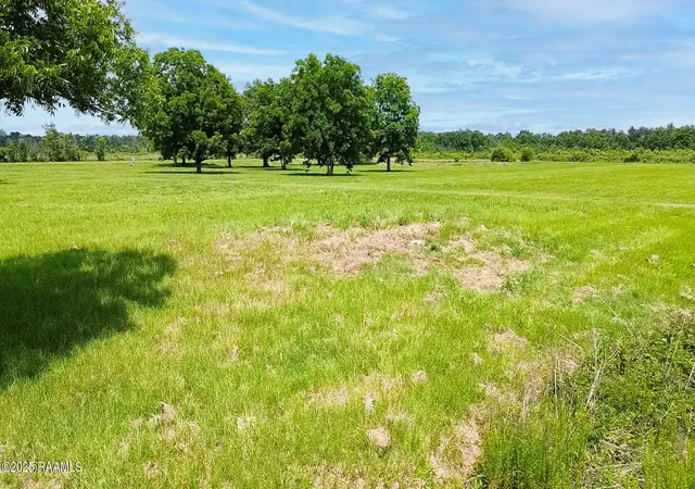 Photo 5 of Land for sale at 119 Pitre Ln, Ville Platte, LA 70586 | MLS# 2600004992 | Listing updated on 2026-06-05