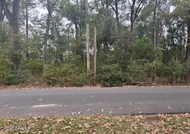 2nd image of Tbd Hollingsworth Dr, Abbeville, LA 70510 | MLS# 2500005814