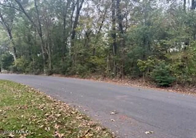 Photo 3 of Land for sale at Tbd Hollingsworth Dr, Abbeville, LA 70510 | MLS# 2500005814 | Listing updated on 2026-09-12