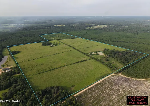 Photo 1 of Land for sale at 0 Rutherford Rd #0, Deridder, LA 70634 | MLS# 2600007135 | Listing updated on 2026-08-03