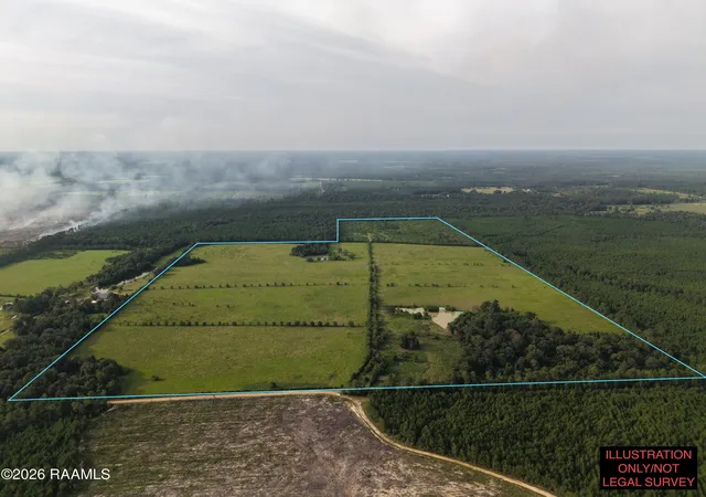 Photo 3 of Land for sale at 0 Rutherford Rd #0, Deridder, LA 70634 | MLS# 2600007135 | Listing updated on 2026-08-03