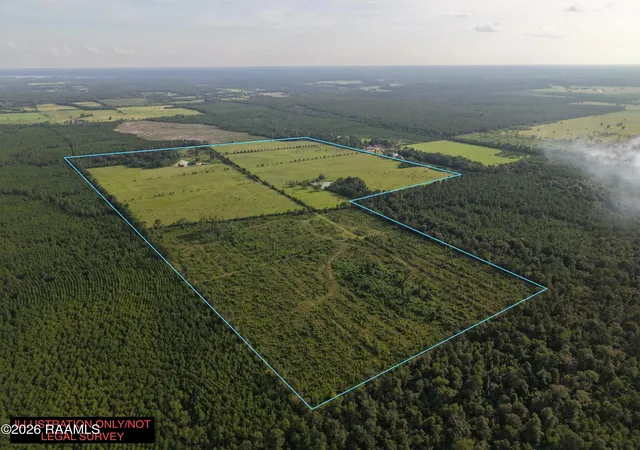Photo 3 of House for sale at 0 Rutherford Rd #0, Deridder, LA 70634 | MLS# 2600007135 | Listing updated on 2026-08-03