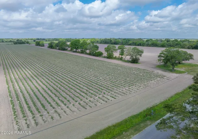 Photo 15 of Land for sale at Tbd Leroy Rd, Maurice, LA 70555 | MLS# 2600003481 | Listing updated on 2026-08-29