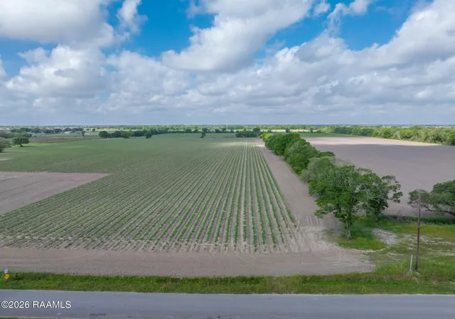 Photo 2 of Land for sale at Tbd Leroy Rd, Maurice, LA 70555 | MLS# 2600003481 | Listing updated on 2026-08-29