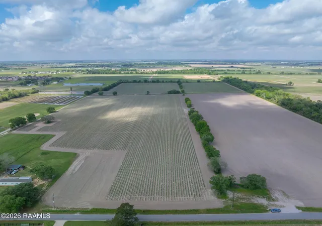 Photo 3 of Land for sale at Tbd Leroy Rd, Maurice, LA 70555 | MLS# 2600003481 | Listing updated on 2026-08-29