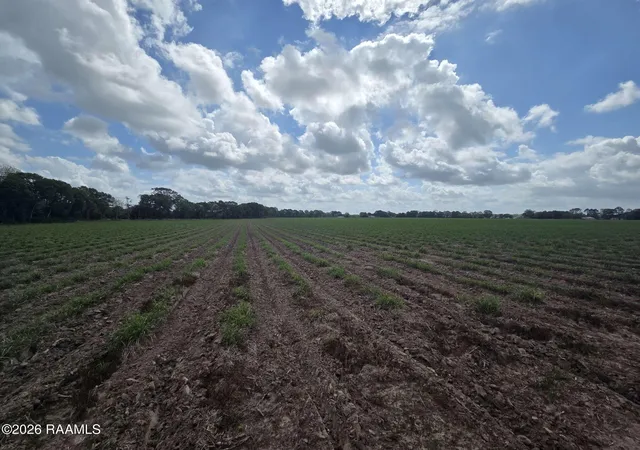 2nd image of 997 Sidney Charles Rd, Opelousas, LA 70570 | MLS# 2600003744