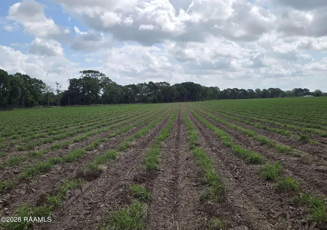 3rd image of 997 Sidney Charles Rd, Opelousas, LA 70570 | MLS# 2600003744