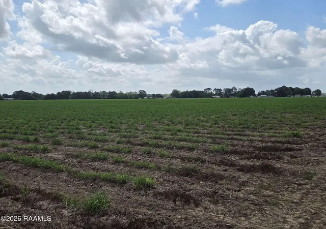 4th image of 997 Sidney Charles Rd, Opelousas, LA 70570 | MLS# 2600003744