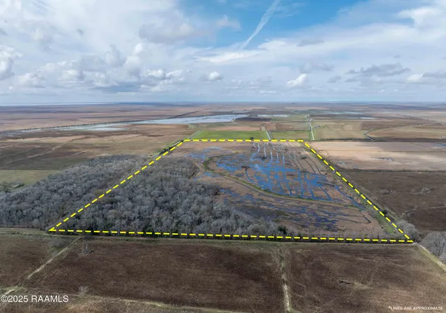 image of 003 Couvillion Rd, Abbeville, LA 70510 | MLS# 25001768