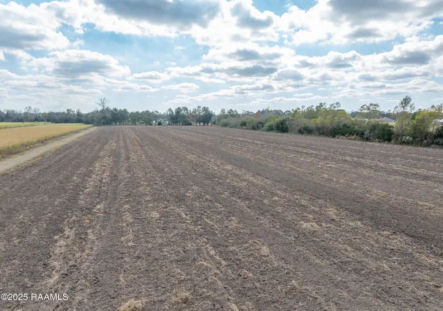 7th image of Tbd Ches Courville Road, Breaux Bridge, LA 70517 | MLS# 2500005860