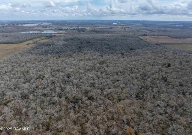 5th image of 001 Couvillion Rd, Abbeville, LA 70510 | MLS# 2020023607