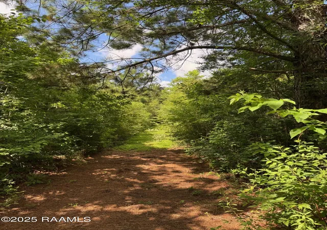 Photo 1 of Land for sale at Tbd Lot 5 Frozard Rd #5, Arnaudville, LA 70512 | MLS# 2600007594 | Listing updated on 2026-08-16