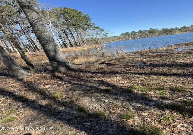 Photo 1 of Land for sale at Lot 12 Ramsey Rd, Chatham, LA 71226 | MLS# 2600001129 | Listing updated on 2026-06-10