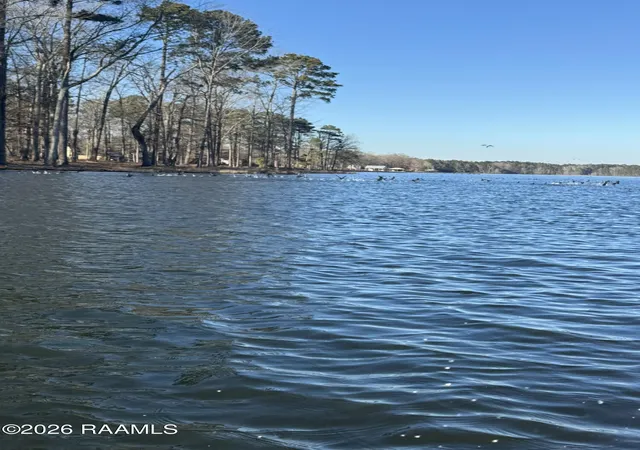 Photo 3 of Land for sale at Lot 12 Ramsey Rd, Chatham, LA 71226 | MLS# 2600001129 | Listing updated on 2026-06-10