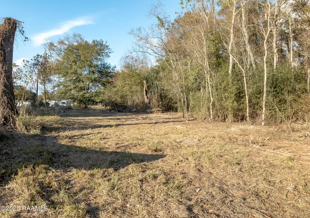 Homes for sale in Elton, LA | 285 Lavan Ln, Elton, LA 70532 | MLS# 2500006215
