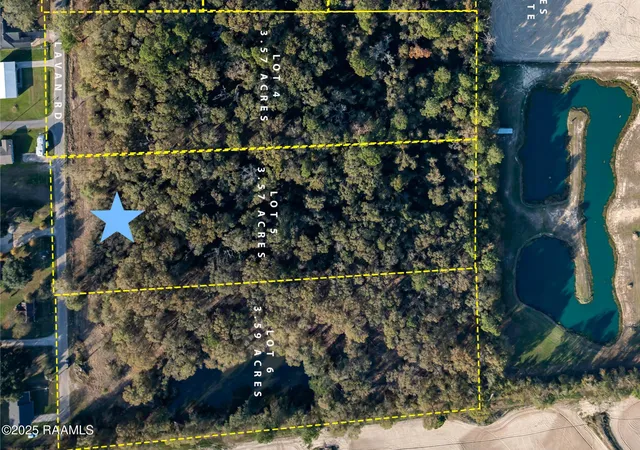Homes for sale in Elton, LA | 285 Lavan Ln, Elton, LA 70532 | MLS# 2500006215