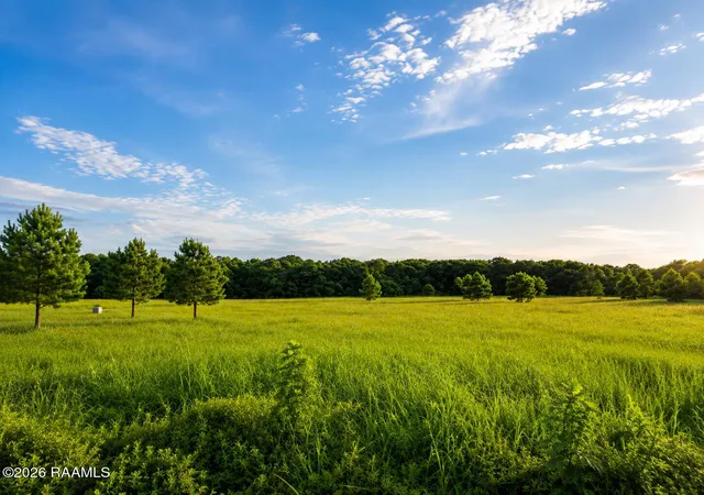 Photo 2 of Land for sale at 0 Highway 752, Church Point, LA 70525 | MLS# 2600006377 | Listing updated on 2026-08-26