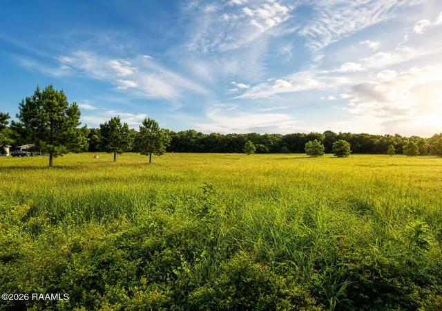 Photo 4 of Land for sale at 0 Highway 752, Church Point, LA 70525 | MLS# 2600006377 | Listing updated on 2026-08-26