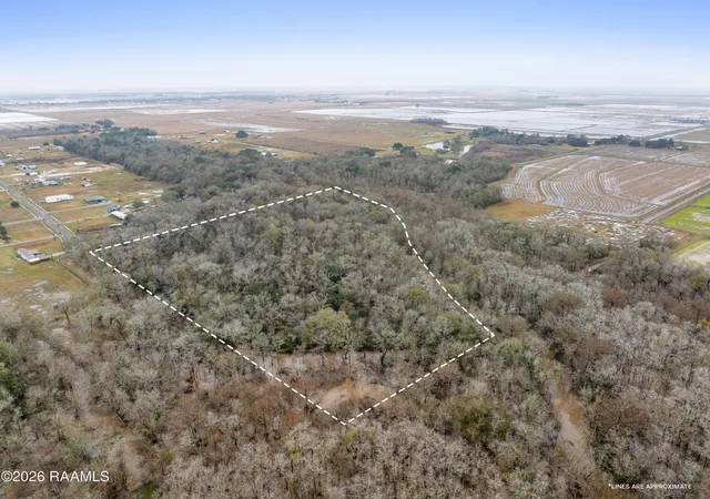 Homes for sale in Morse, LA | 0 Sally Rd, Morse, LA 70559 | MLS# 2600001091