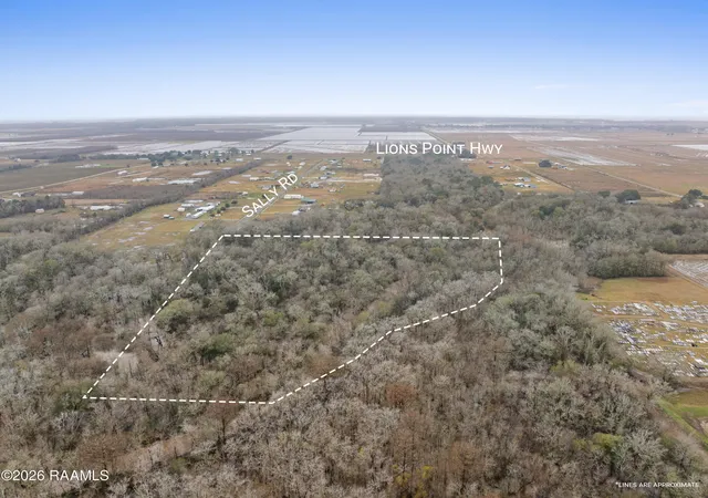 Homes for sale in Morse, LA | 0 Sally Rd, Morse, LA 70559 | MLS# 2600001091