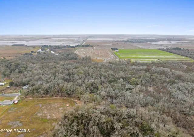 Homes for sale in Morse, LA | 0 Sally Rd, Morse, LA 70559 | MLS# 2600001091