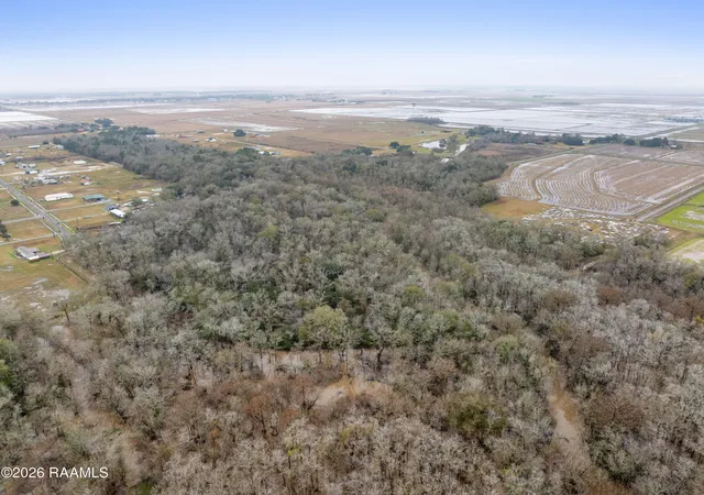 Homes for sale in Morse, LA | 0 Sally Rd, Morse, LA 70559 | MLS# 2600001091