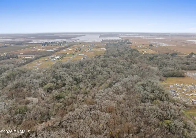 Homes for sale in Morse, LA | 0 Sally Rd, Morse, LA 70559 | MLS# 2600001091