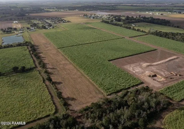 Photo 5 of Sale Pending at Tbd Highway 699, Maurice, LA 70555 | MLS# 2600002004 | Listing updated on 2026-09-02
