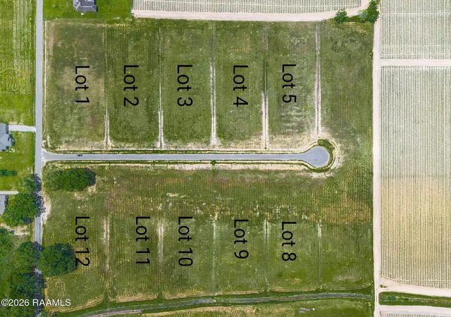 Photo 7 of Land for sale at 3911 Chemin Belle Terre Dr, Maurice, LA 70555 | MLS# 2600002931 | Listing updated on 2026-08-24