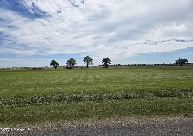 Homes for sale in Maurice, LA | L 2 Soop Rd, Maurice, LA 70555 | MLS# 24003849