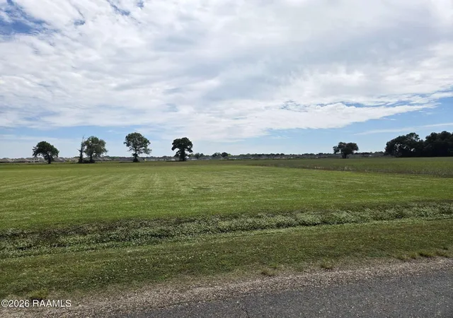 Homes for sale in Maurice, LA | L-2 Soop Rd, Maurice, LA 70555 | MLS# 24003849