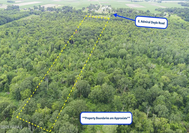 Land for sale at Tbd E Admiral Doyle Dr, New Iberia, LA 70560 | MLS# 2500001415
