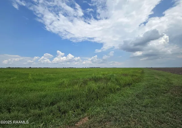 Homes for sale in Kaplan, LA | 23823 Juniper Rd, Kaplan, LA 70548 | MLS# 2500003669