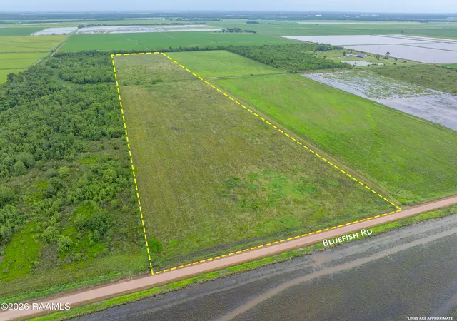 Photo 1 of Land for sale at 0 Bluefish Rd, Crowley, LA 70526 | MLS# 2600005425 | Listing updated on 2026-06-16