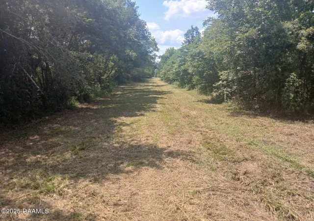 4th image of 4444 Main Hwy, Breaux Bridge, LA 70517 | MLS# 2500003274