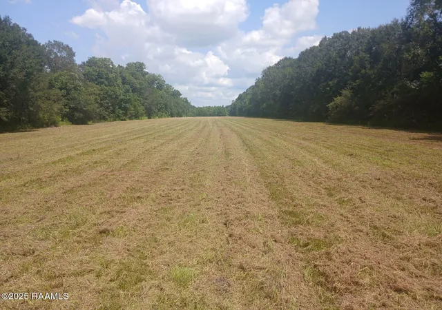 5th image of 4444 Main Hwy, Breaux Bridge, LA 70517 | MLS# 2500003274