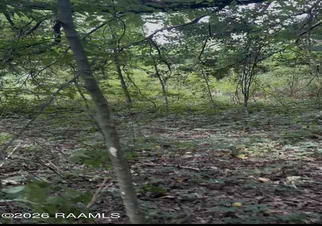Photo 5 of Land for sale at 1429 Division Rd, Arnaudville, LA 70512 | MLS# 2600006791 | Listing updated on 2026-07-23