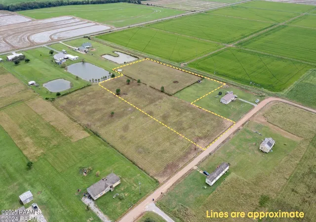 Homes for sale in Iota, LA | Tbd G Mulberry Ln, Iota, LA 70543 | MLS# 2500001869