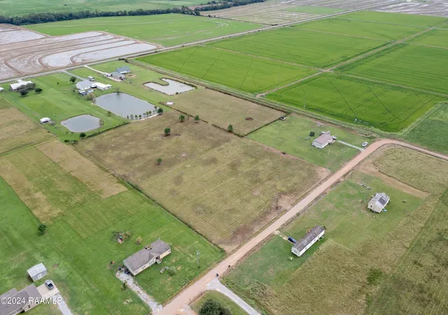 Homes for sale in Iota, LA | Tbd G Mulberry Ln, Iota, LA 70543 | MLS# 2500001869