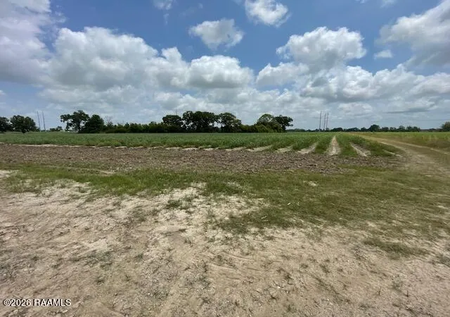 image of 111271 Rodrigue Rd, Abbeville, LA 70510 | MLS# 2600000233