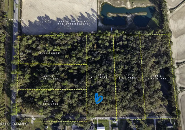 Homes for sale in Elton, LA | 169 Lavan St, Elton, LA 70532 | MLS# 2500006213