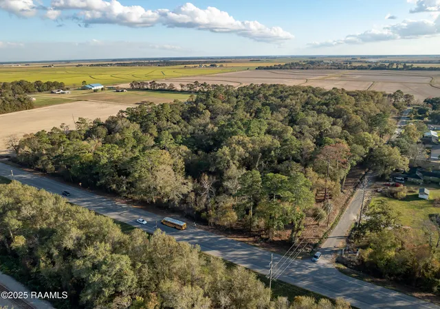 Photo 3 of Land for sale at 169 Lavan St, Elton, LA 70532 | MLS# 2500006213 | Listing updated on 2026-07-14
