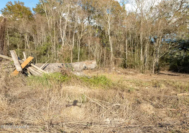 Photo 4 of Land for sale at 169 Lavan St, Elton, LA 70532 | MLS# 2500006213 | Listing updated on 2026-07-14