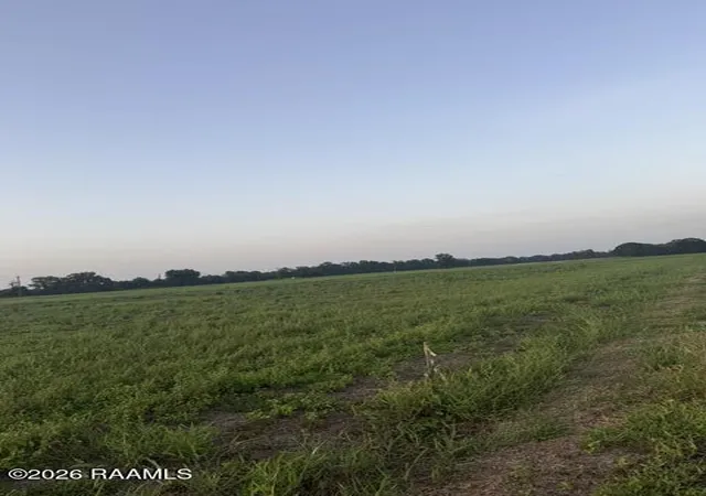 Photo 1 of Land for sale at La 31 #1-A-6-A, Arnaudville, LA 70512 | MLS# 2600006587 | Listing updated on 2026-07-20