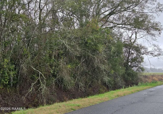 Photo 3 of Land for sale at 650 Jennings Rd, Opelousas, LA 70570 | MLS# 2600000827 | Listing updated on 2026-08-14