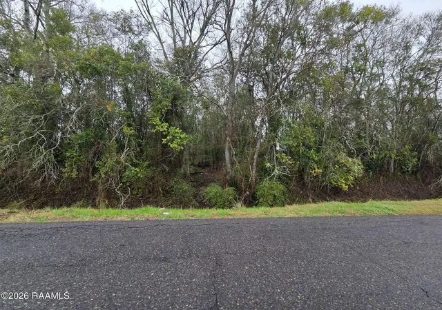 Photo 4 of Land for sale at 650 Jennings Rd, Opelousas, LA 70570 | MLS# 2600000827 | Listing updated on 2026-08-14
