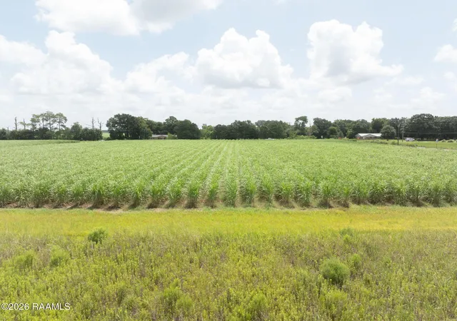 image of Tbd Louisiana 338 #Lot 5-A, Abbeville, LA 70510 | MLS# 2600006632